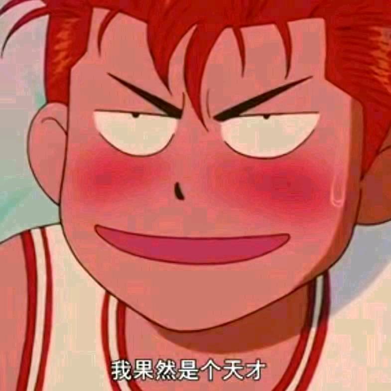 🐒凯美佳挡风被🩴