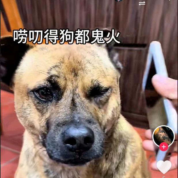 愛哥