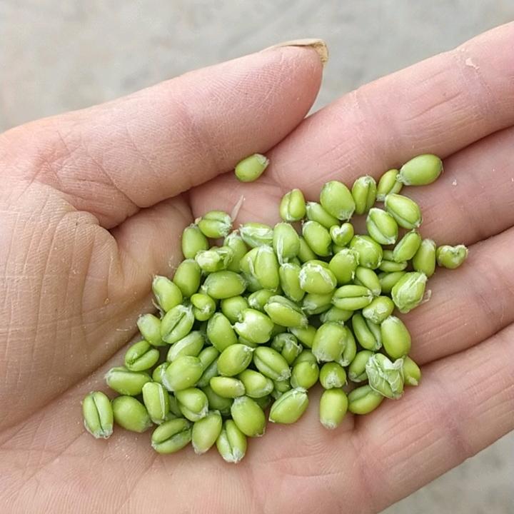 两个宝贝的奶奶👵