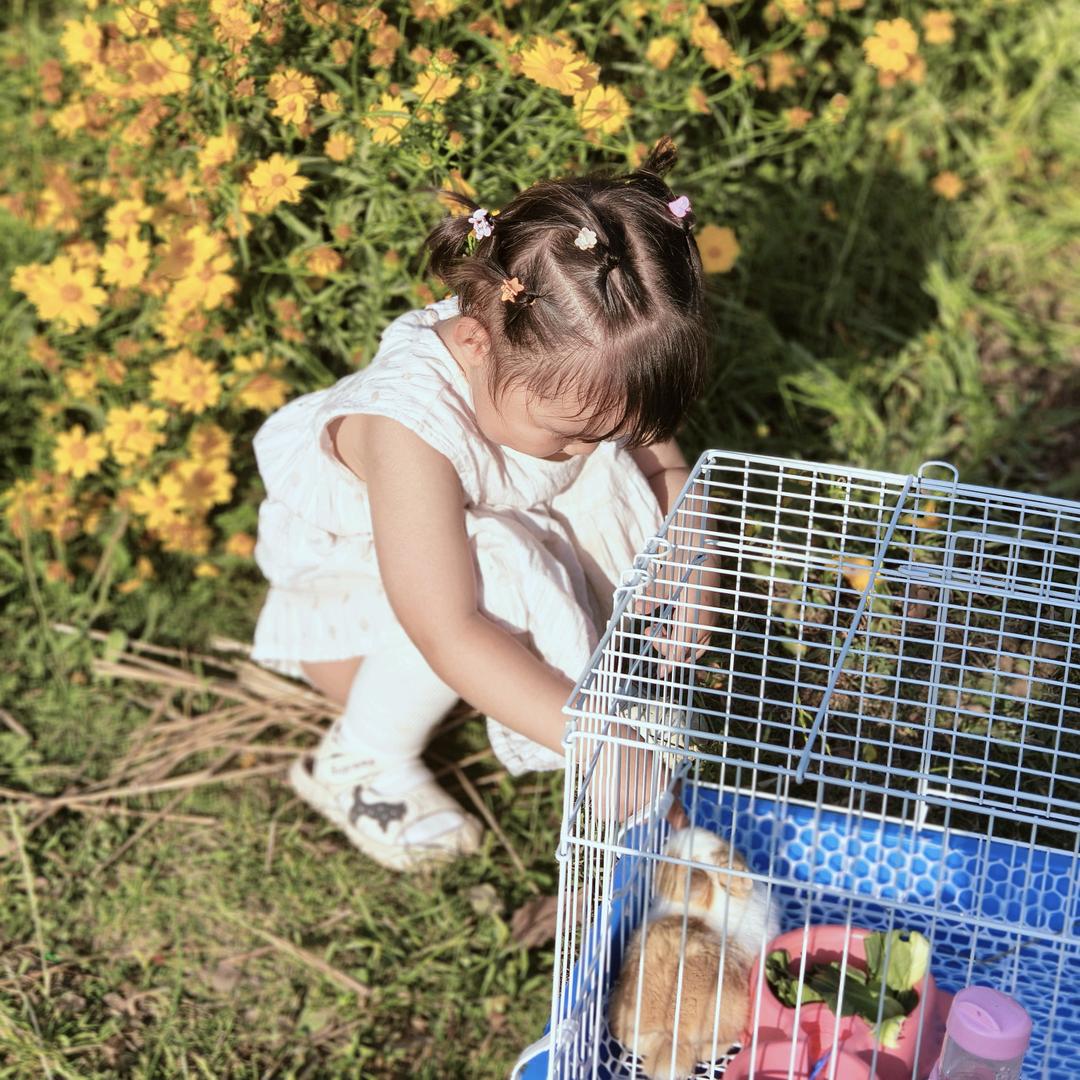 🌈小面包✨🍡