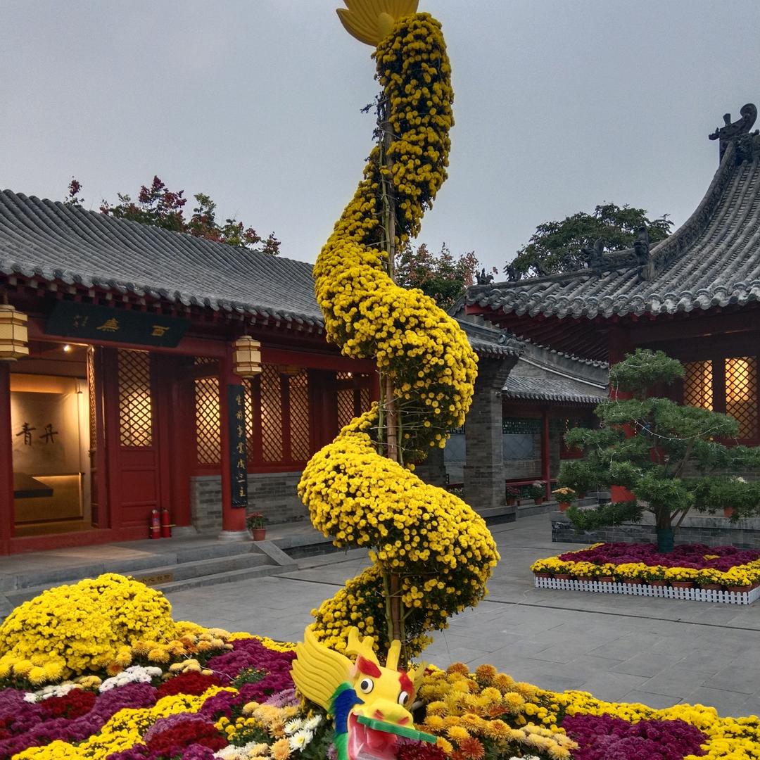 刘小飞