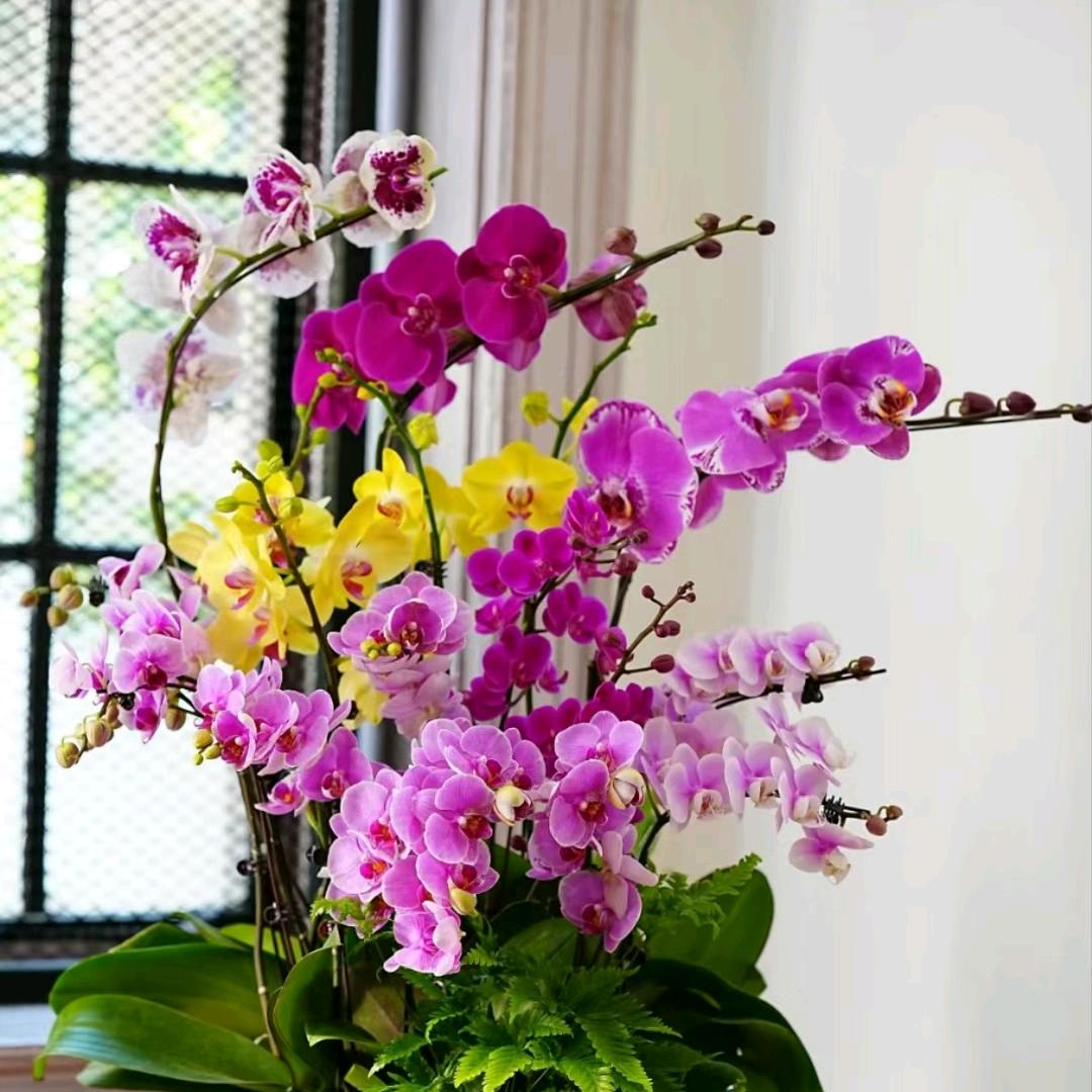 龙湖锦艺城鲜花｜花束定制，高端花艺设计