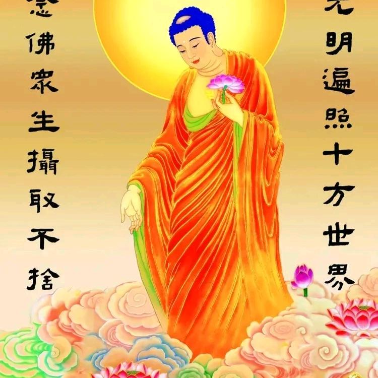 🌈 万剑归宗