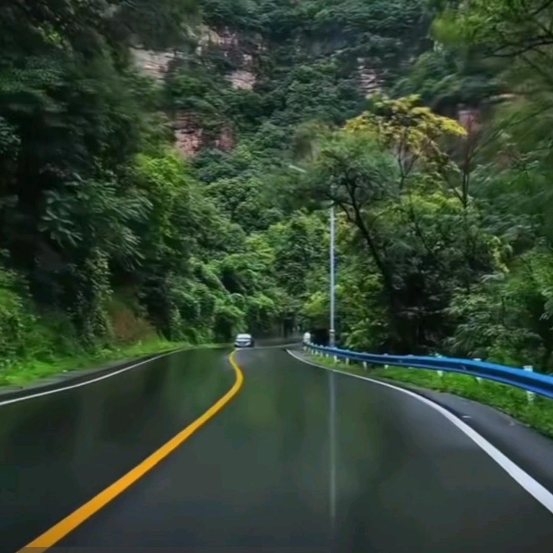 退网