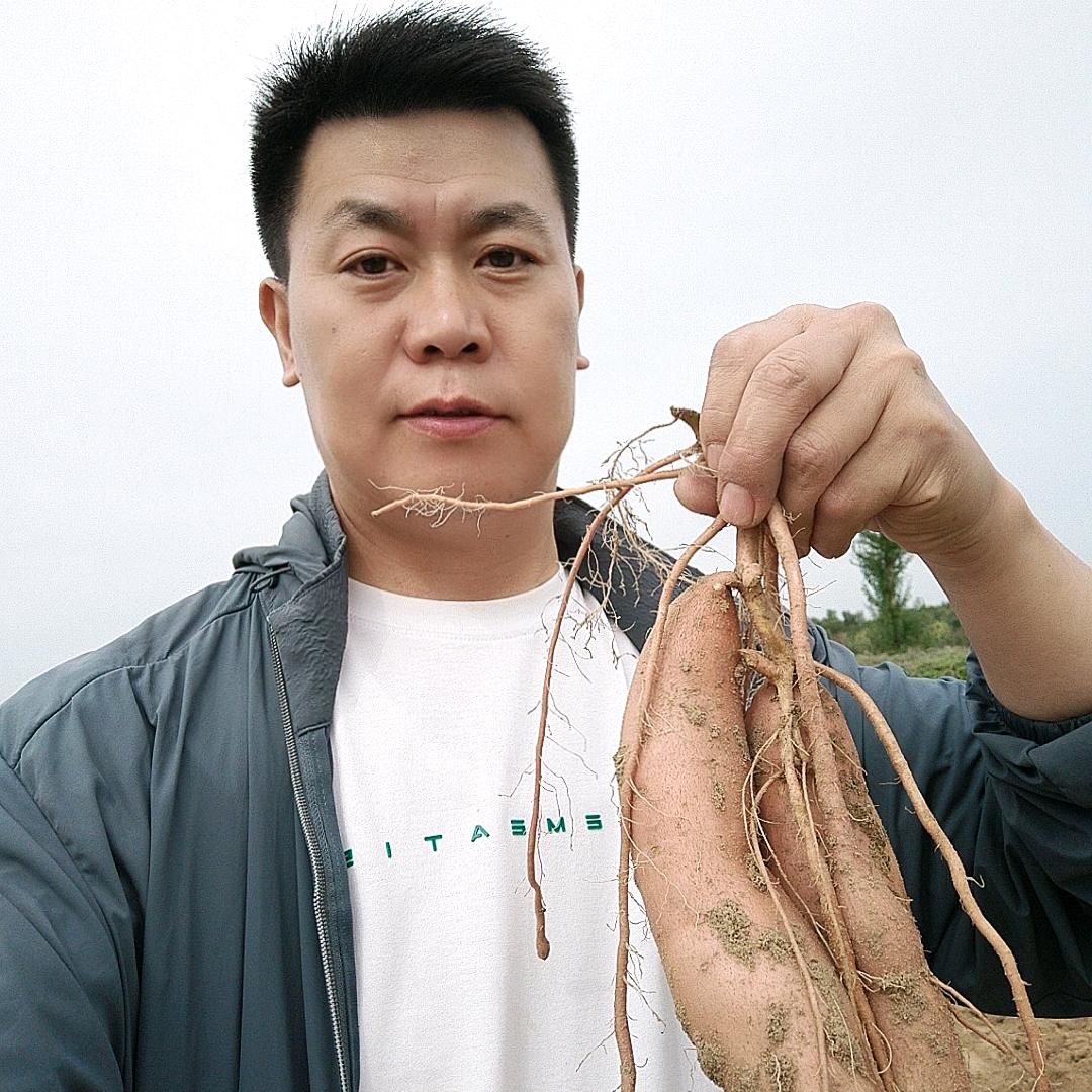 鱼河茆   西北土特产