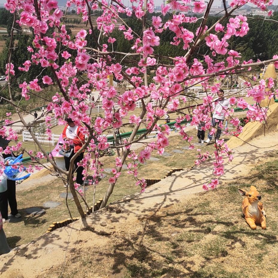 迈晓满冠118