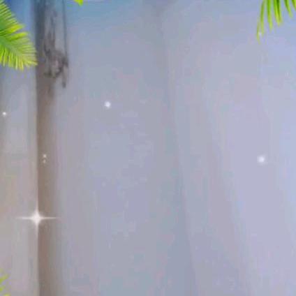 老宋抖音