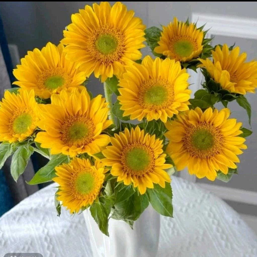 微笑向暖🌞