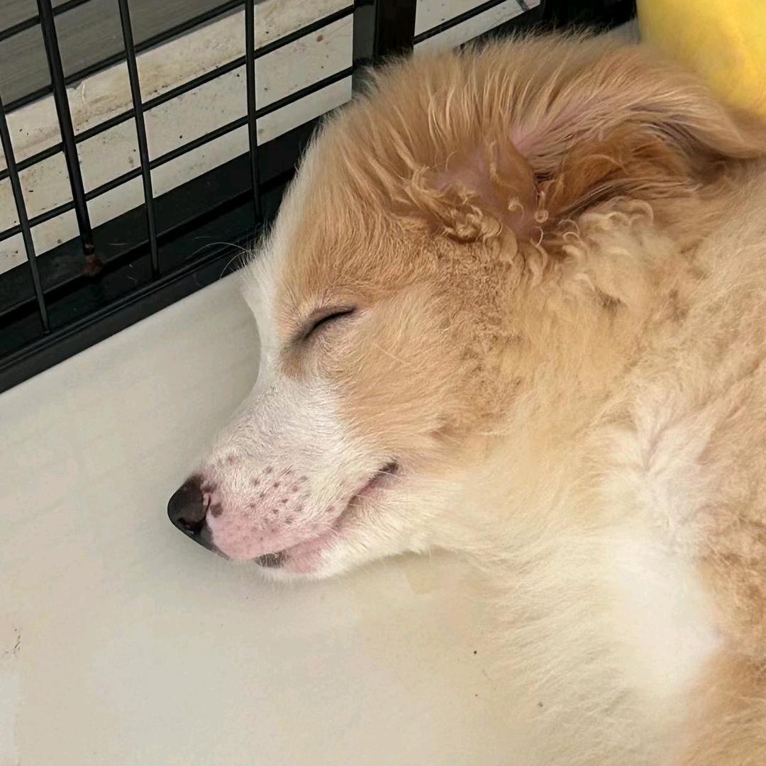 ❤️开心心