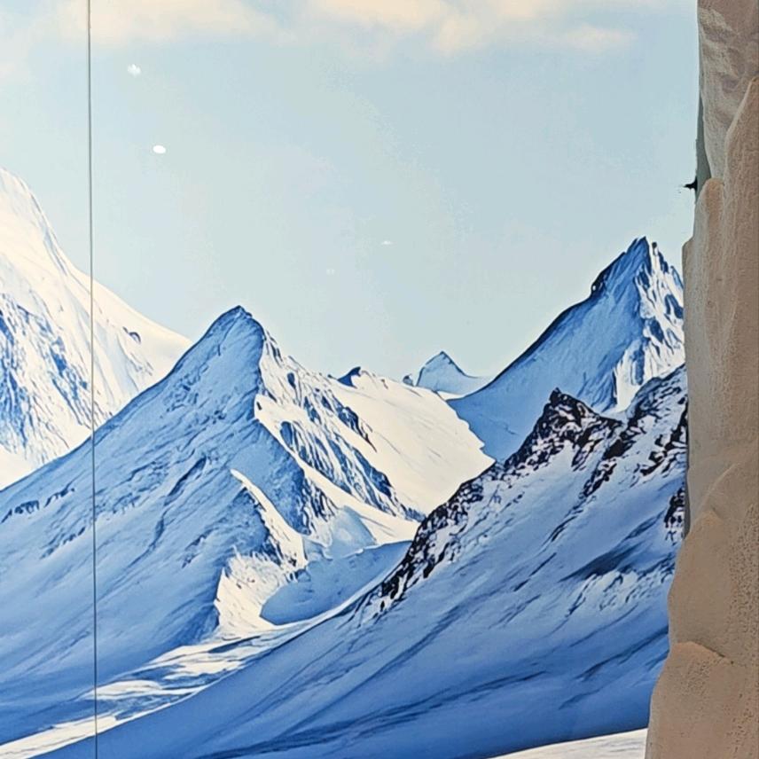 叫什么名字好呢