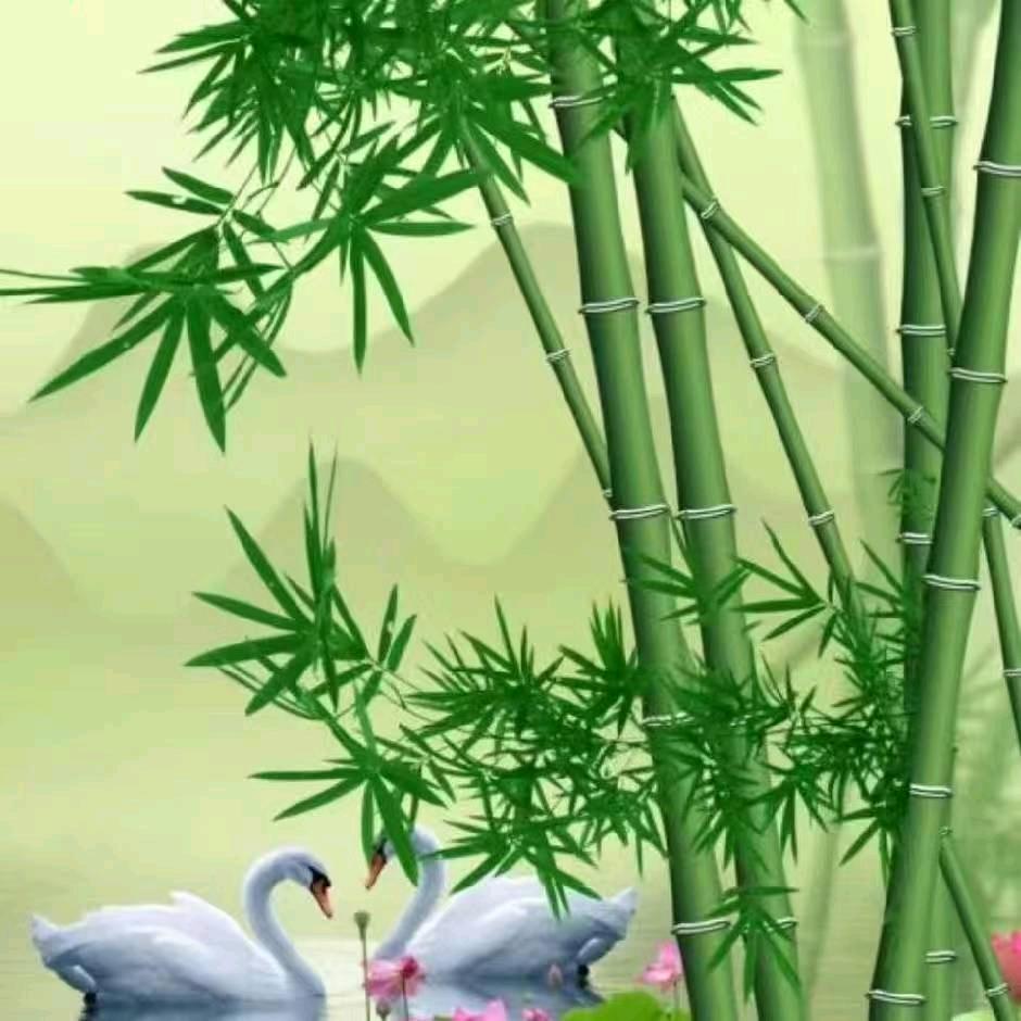 (⊙o⊙)大哥哦