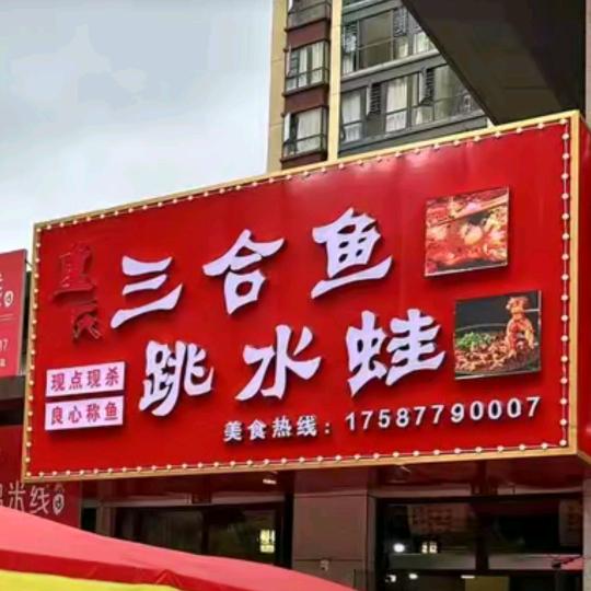 创美重庆三合鱼跳水蛙