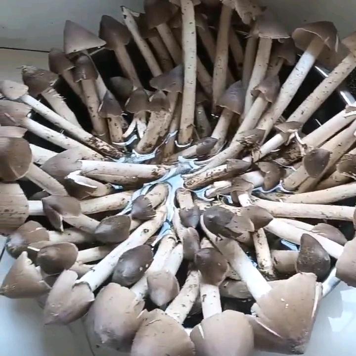 混凝土销售泵车出租