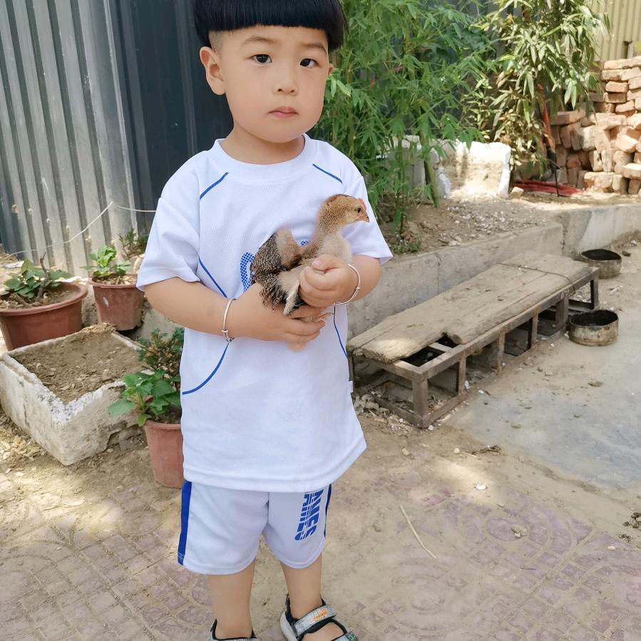 小可乐