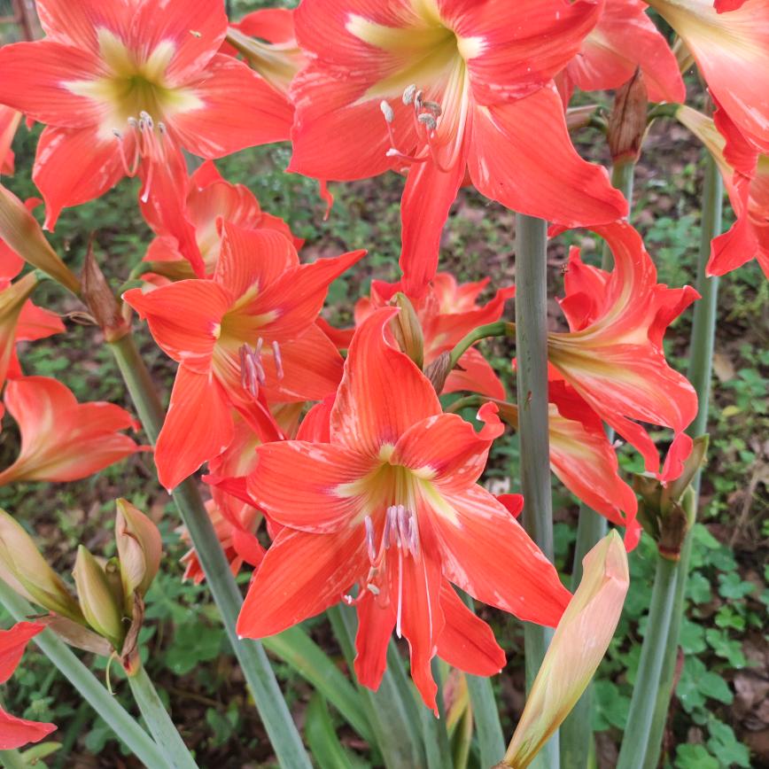 花好月圆