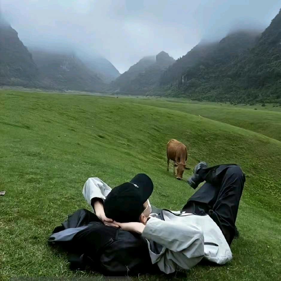 梦想🇨🇳人间清醒