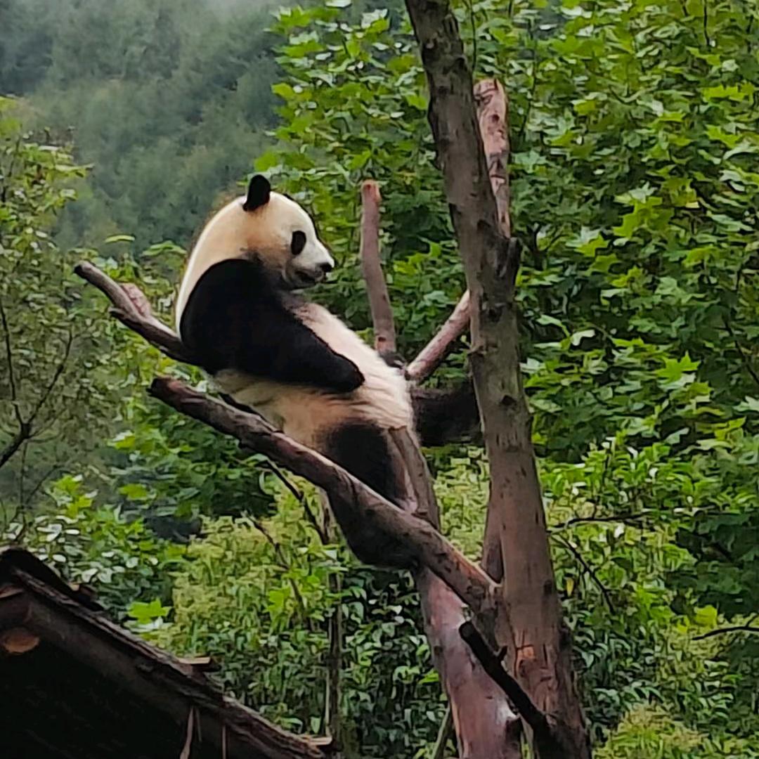 是梦终空