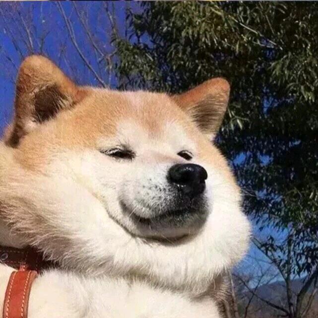 头号粉丝