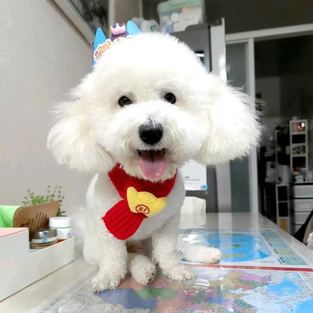 字母下划线和点