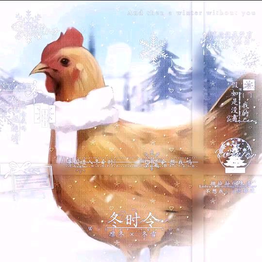 ૮ ˃̵ ֊ ˂̵ ა