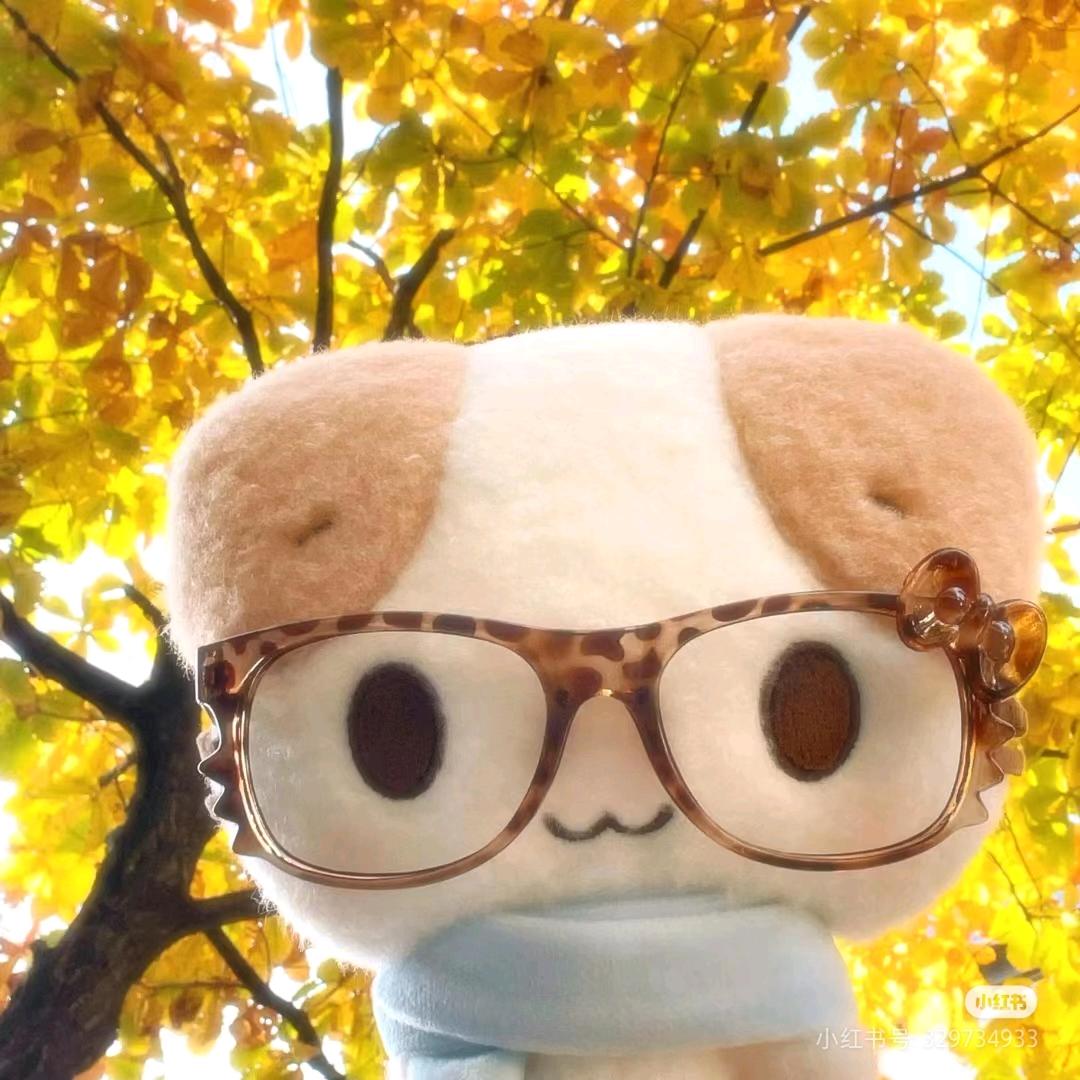 我真的不吃香菜