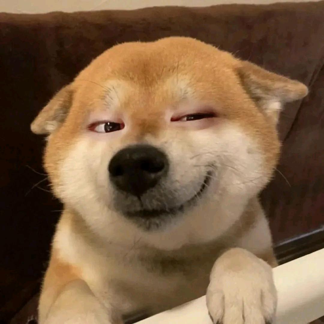 薄饼哥