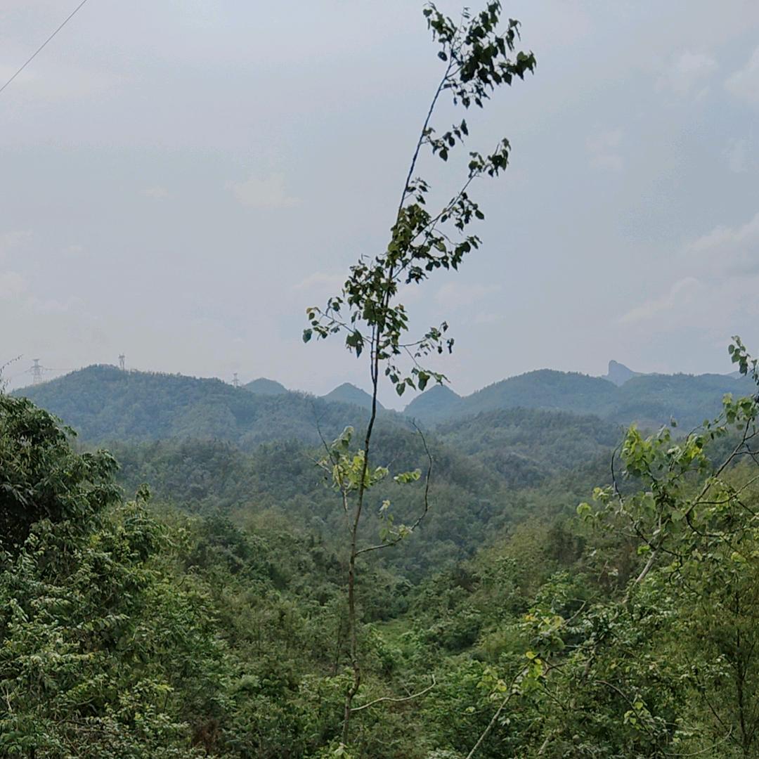 我是你心灵的港湾