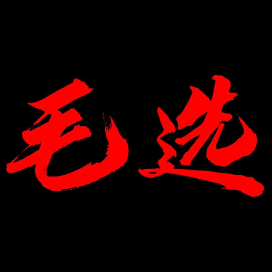 愚公讲毛选