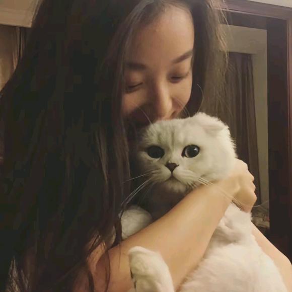 不想睡午觉🐏.