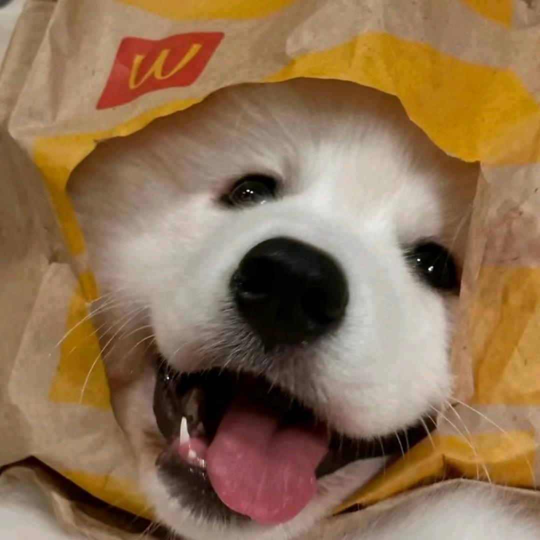 我要困告啦.