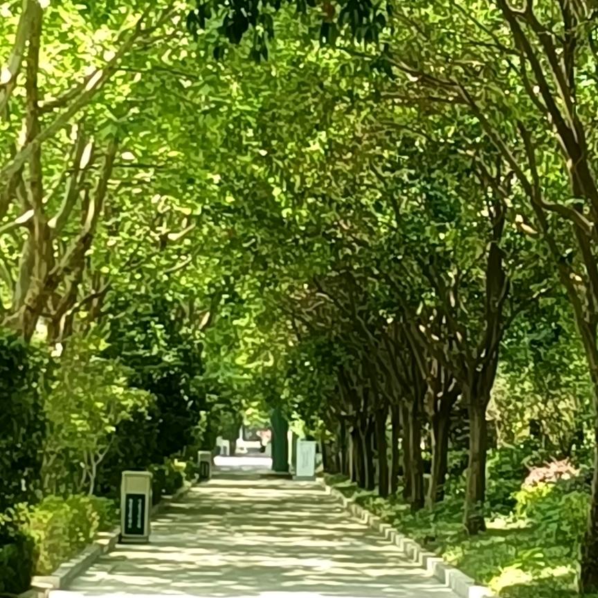 宿州驾校