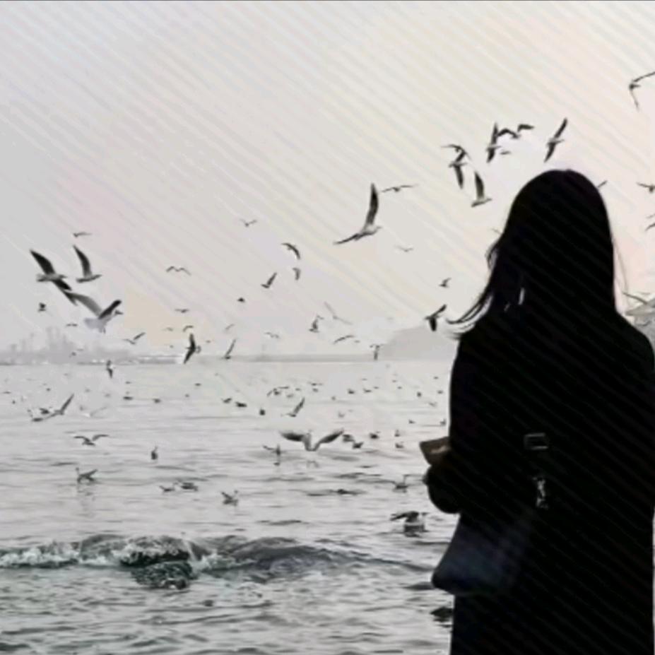 ||Φ|(|T|Д|T|)|Φ||