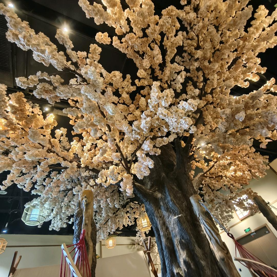 🌸花花好物分享