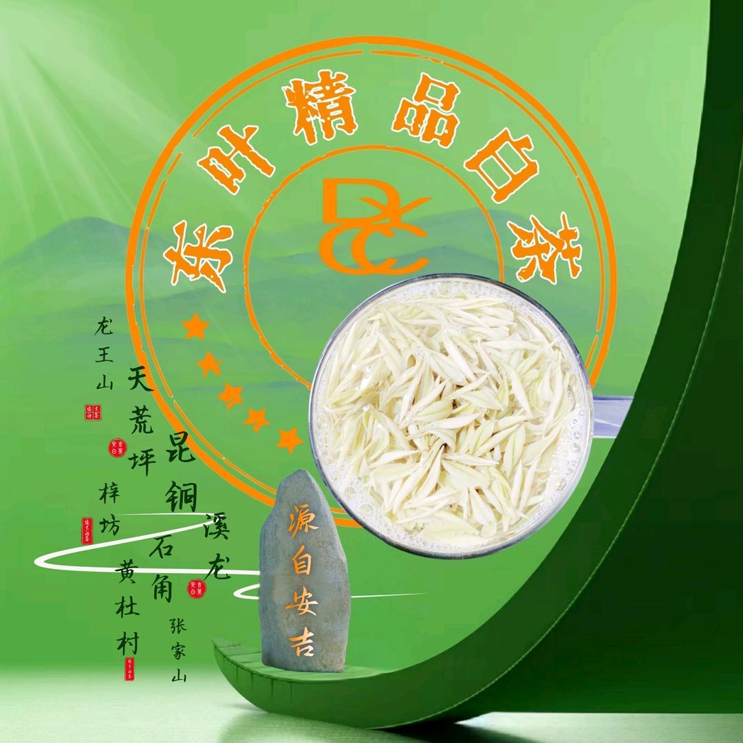 安吉东叶精品白茶