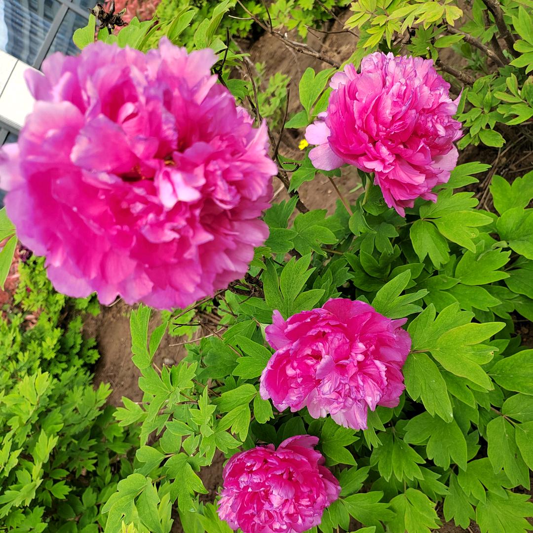 💕珍惜缘份💕