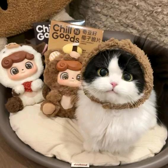 辰星起飞