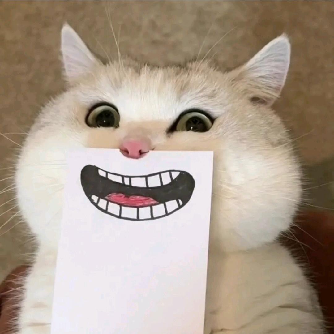 zozo