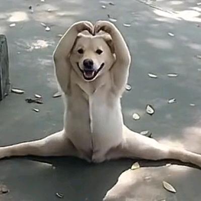 এ故事缺酒໌ᮨ也缺你དྷ༗