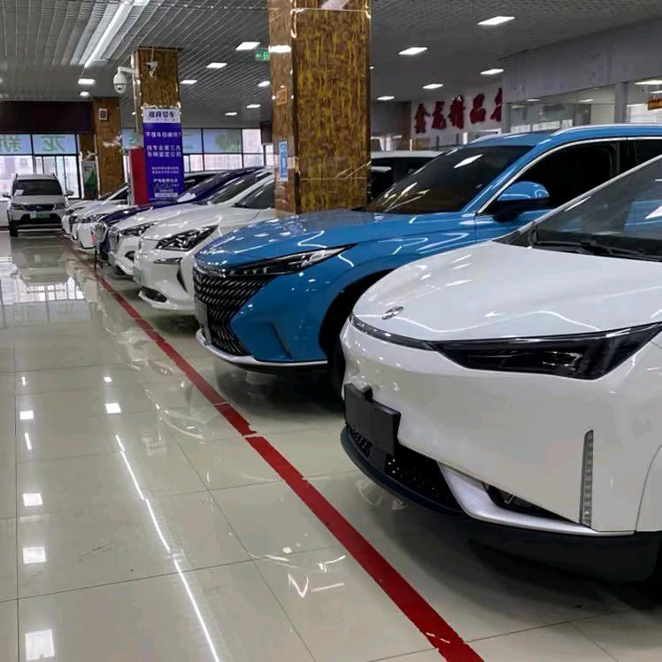 临沂鑫龙新能源汽车