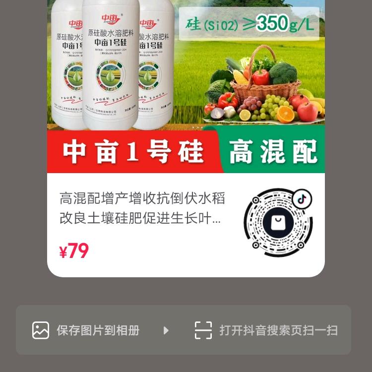 过客