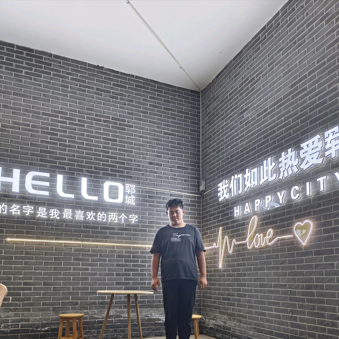 此生不悔入华夏