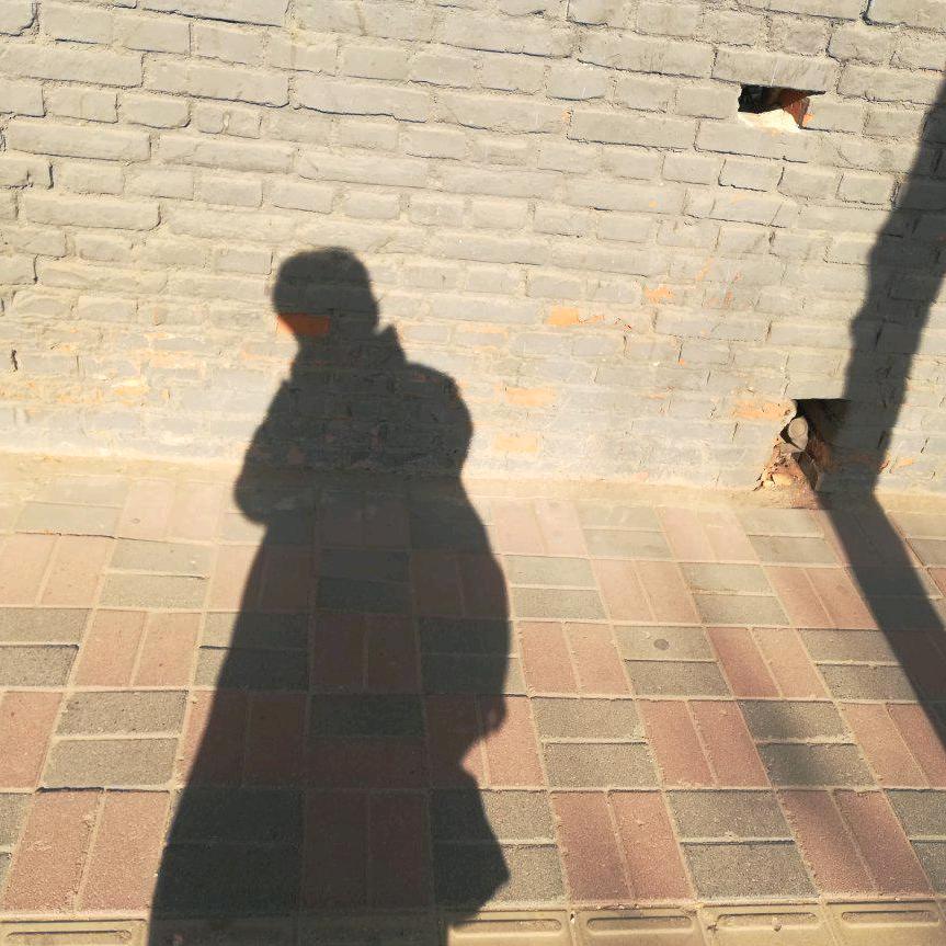 竹不归