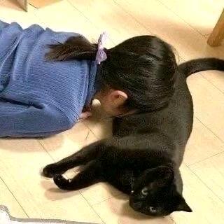 小Z.