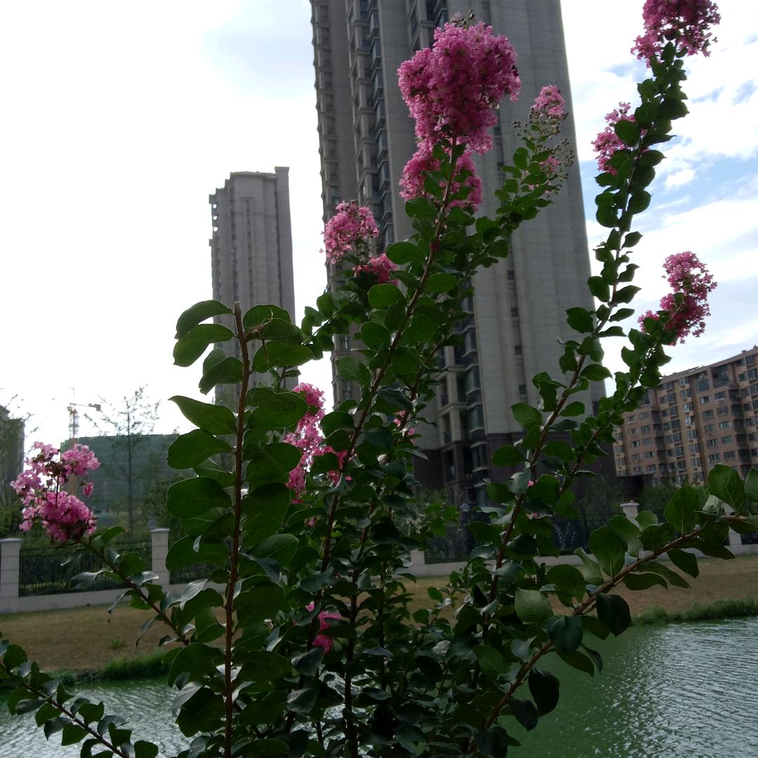 春去秋来
