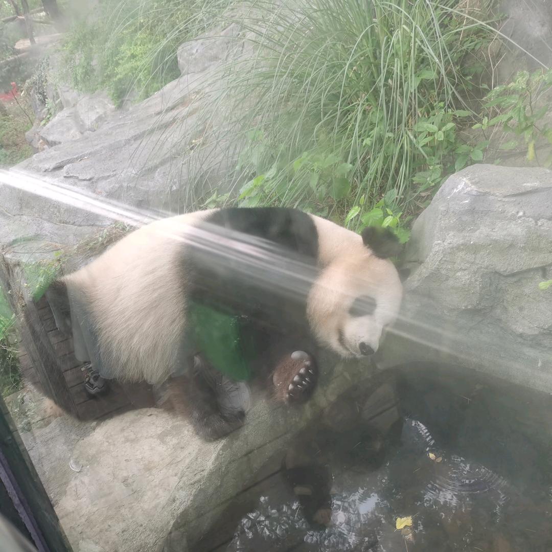 ☀️微笑²¹⁷