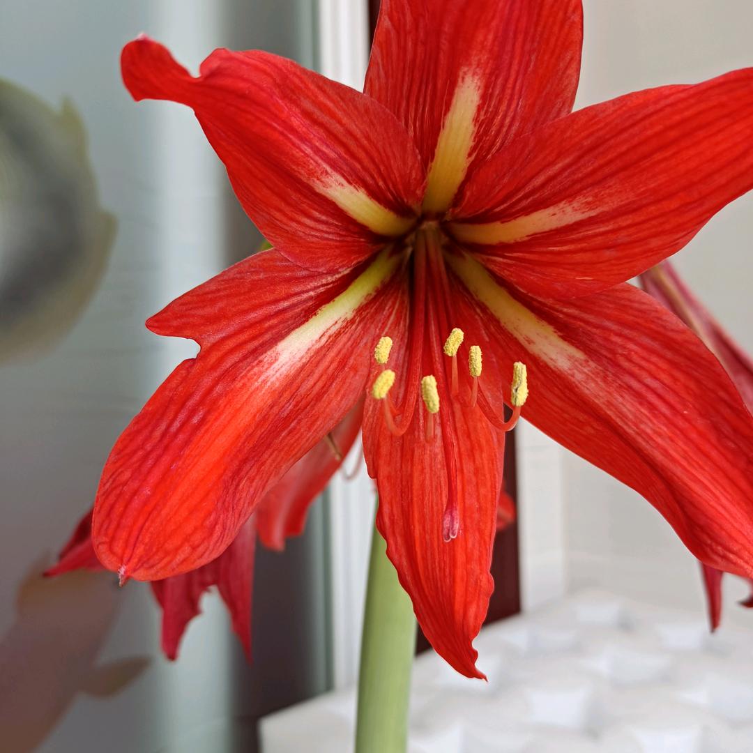 时来运转☀☀🙏🙏