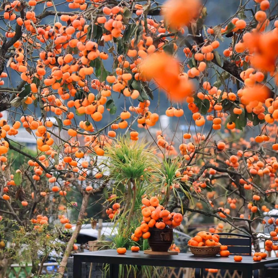 媛姐@红岩瑶乡土特产