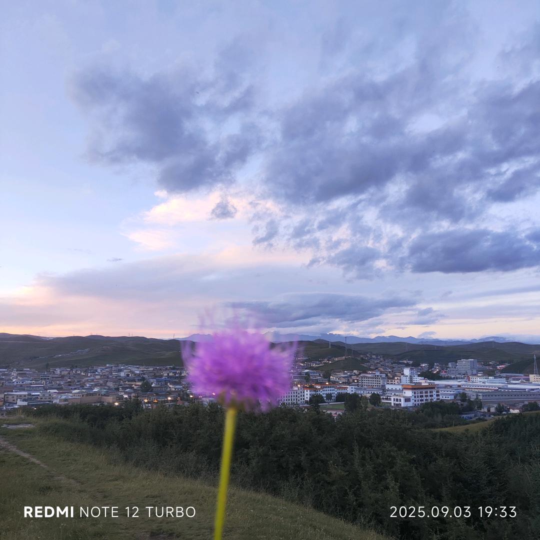 再听已是曲中人