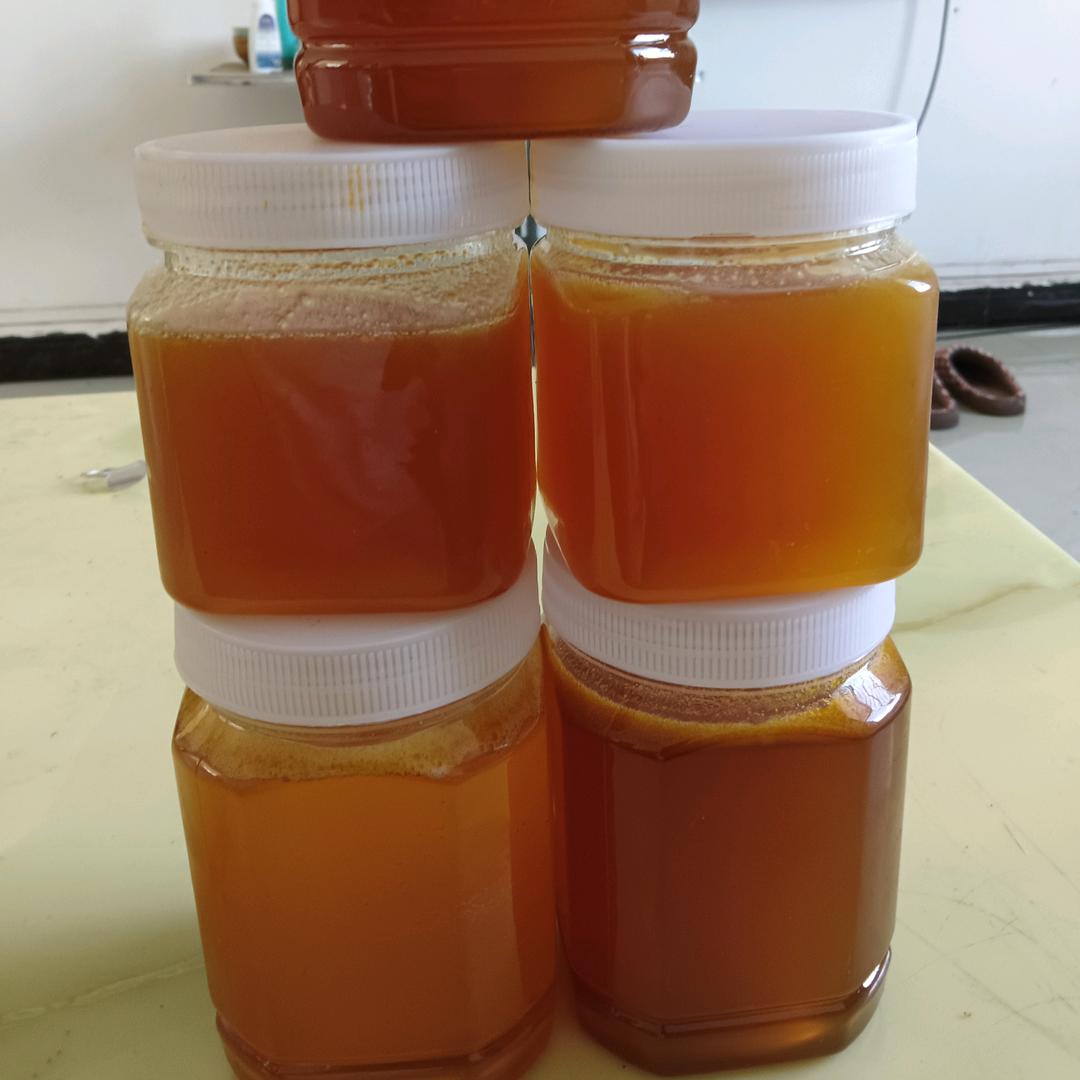 从此不再碰感情