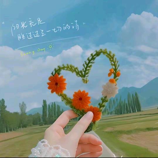 🍀⃨ཀ初芯ꦿ⸙¹³¹⁴